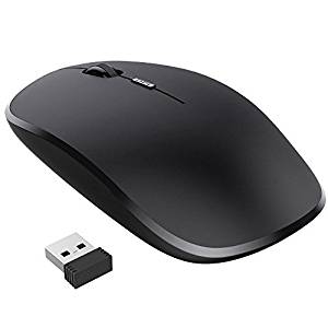 mouse